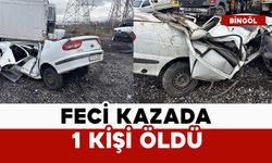Feci kazada 1 kişi öldü