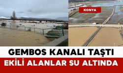 Gembos kanalı taştı: ekili alanlar sular altında