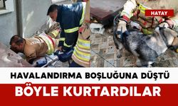 Havalandırma boşluğuna düşen köpek kurtarıldı