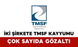 İki Şirkete TMSF Kayyumu: Çok Sayıda Gözaltı