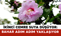 İkinci Cemre Suya Düşüyor: Bahar Adım Adım Yaklaşıyor