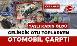 Gelincik otu toplarken yola çıkan yaşlı kadına otomobil çarptı: 1 ölü