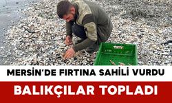 Mersin’de Fırtına Sahili Vurdu Balıkçılar Topladı