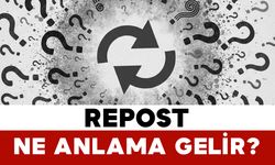 Repost ne anlama gelir?