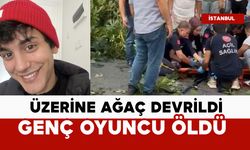 Üzerine ağaç devrilen oyuncu öldü