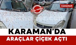 Baharın Rengi Karaman’ı Sardı: Araçlar çiçek açtı!