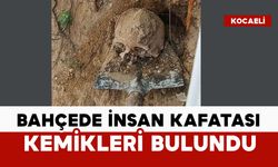 Bahçede insan kafatası bulundu
