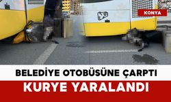 Belediye otobüsüne çarpan kurye yaralandı