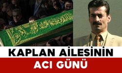 Kaplan Ailesinin Acı Günü