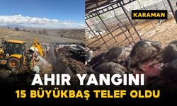 Karaman'da ahır yangını: 15 büyükbaş hayvan telef oldu