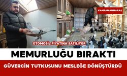 Memurluğu Bıraktı Güvercin Tutkusunu Mesleğe Dönüştürdü