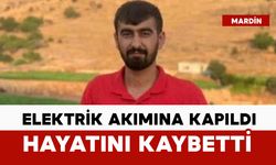 Minibüsü yıkarken akıma kapıldı: hayatını kaybetti