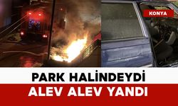 Park halindeydi alev alev yandı