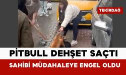 Pitbull dehşet saçtı: sahibi müdahaleye engel oldu