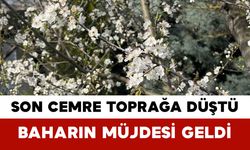 Son Cemre Toprağa Düştü: Baharın Müjdesi Geldi