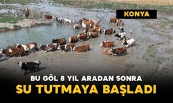 Bu göl 8 yıl aradan sonra su tuttu