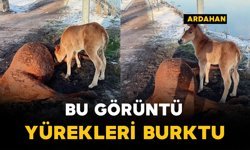 Bu görüntü yürekleri burktu