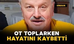 Emekli öğretmen ot toplarken uçurumdan yuvarlandı