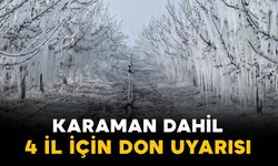 Karaman dahil 4 il için zirai don uyarısı: Sarı kodlu uyarı verildi