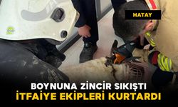 Köpeğin imdadına itfaiye yetişti