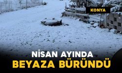 Nisan ayında kar yağdı: beyaza büründü