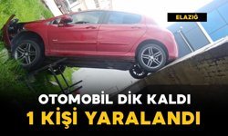 Otomobil dik kaldı: 1 yaralı