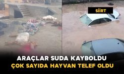 Siirt'te Araçlar Suda Kayboldu: Çok Sayıda Hayvan Telef Oldu