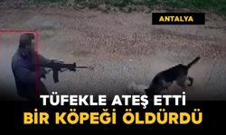 Tüfekle ateş edip bir köpeği öldürdü