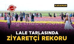 Türkiye'nin en büyük lale tarlasında ziyaretçi rekoru