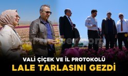 Vali Çiçek ve il protokolü lale tarlasını gezdi