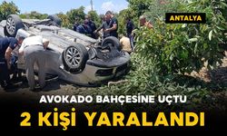 Avokado bahçesine uçtu: 2 kişi yaralı