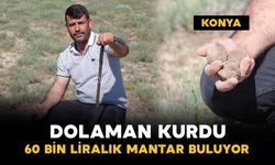 Dolaman kurdu günlük 60 bin liralık mantar buluyor