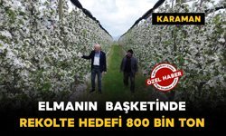 Elmanın başkentinde rekolte hedefi 800 bin ton