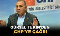 Gürsel Tekin’den CHP’ye Çağrı