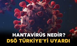 Hantavirüs Nedir? DSÖ’den Türkiye Dahil 12 Ülkeye Uyarı