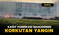 Kağıt fabrikasının bahçesinde korkutan yangın