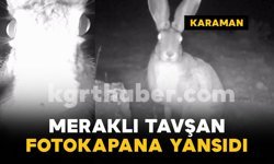 Karaman’da fotokapana yansıyan meraklı tavşan gülümsetti