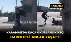 Karaman'da kaçan kurbanlık keçi hareketli anlar yaşattı