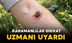 Karaman’da kene vakalarına karşı uzman uyarısı: "Vücudunuzu kontrol edin"