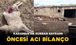 Karaman'da Kurban Bayramı Öncesi Acı Bilanço
