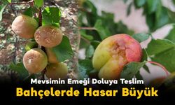 Mevsimin Emeği Doluya Teslim