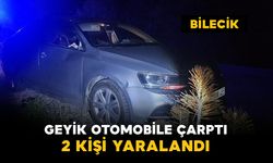Otomobile geyik çarptı: 2 yaralı