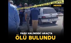 Park halindeki araçta ölü bulundu