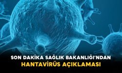 Son Dakika Sağlık Bakanlığı’ndan Hantavirüs Açıklaması