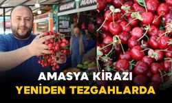 Amasya kirazı tezgahlarda: fiyatı 50 ile 100 lira arasında