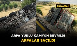 Arpa yüklü kamyon şarampole devrildi: arpalar saçıldı