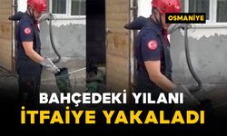 Bahçedeki yılanı itfaiye yakaladı