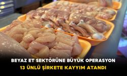 Beyaz et sektörüne büyük operasyon: 13 ünlü şirkete kayyım atandı