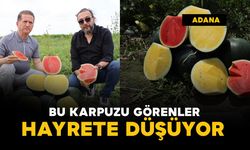 Bu karpuzu görenler hayrete düşüyor