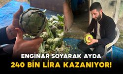 Enginar Soyarak Ayda 240 Bin Lira Kazanıyor!